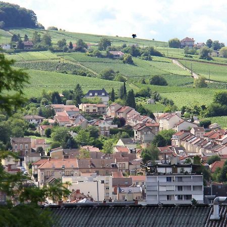 La Villa Geiss Épernay Dış mekan fotoğraf
