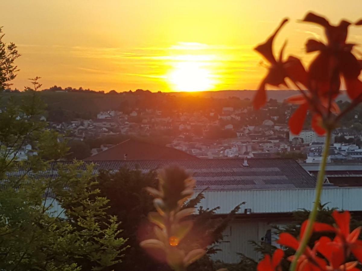 La Villa Geiss Épernay Dış mekan fotoğraf