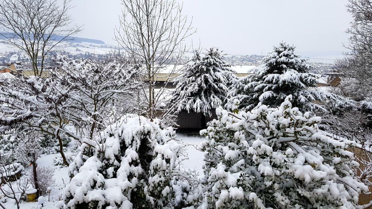 La Villa Geiss Épernay Dış mekan fotoğraf