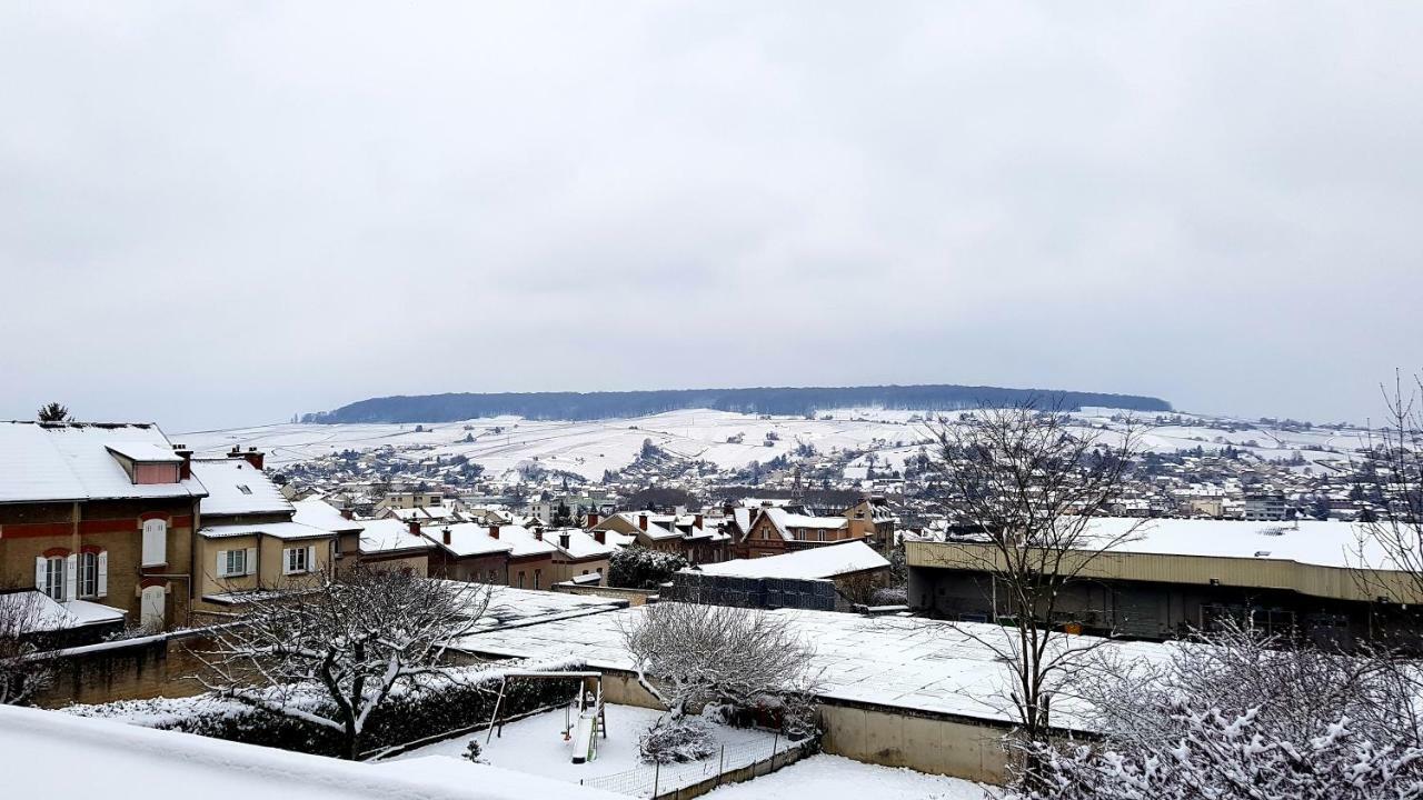 La Villa Geiss Épernay Dış mekan fotoğraf